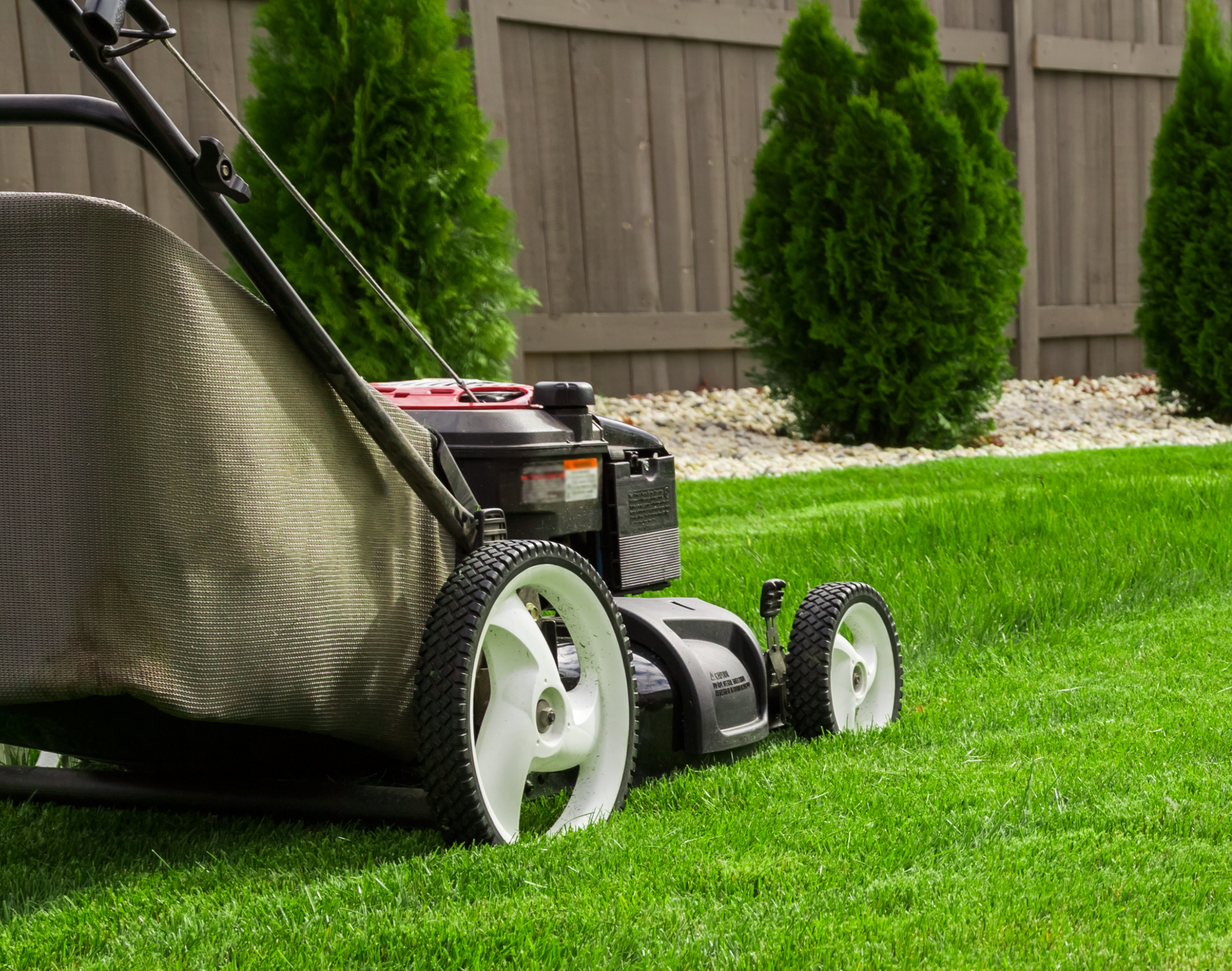 a lawnmower on the grass