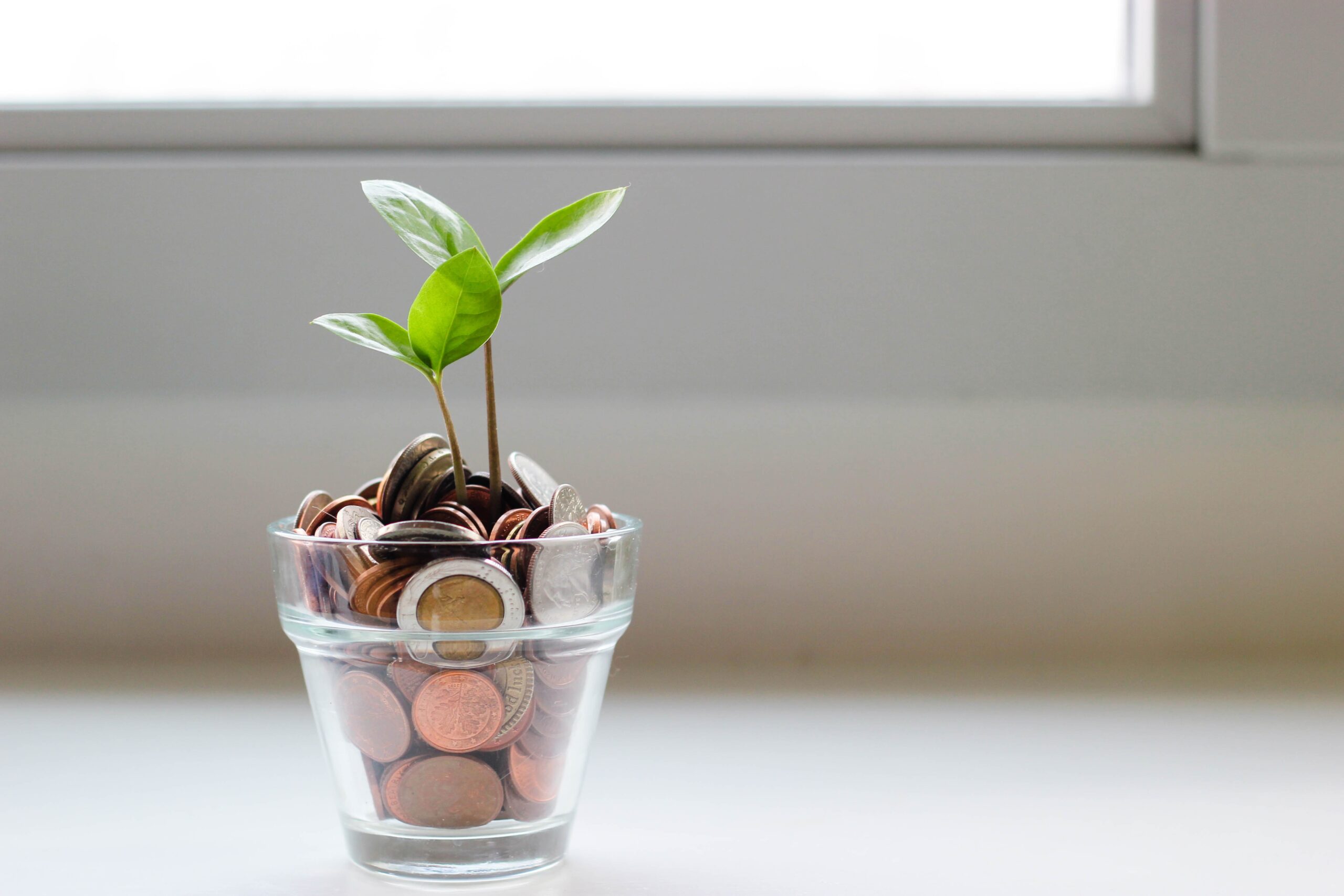 a cup of coins with a plant sprouting from it